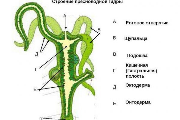 Сайт мега кракен
